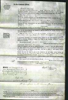 Court of Common Pleas - Miriam Amelia Fox-Original Ancestry