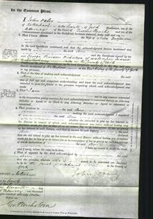 Court of Common Pleas - Ann Woofinden-Original Ancestry