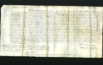 Court of Common Pleas - Hannah Powell-Original Ancestry