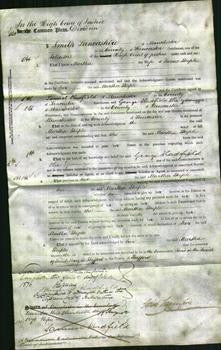 Court of Common Pleas - Martha Steeple-Original Ancestry