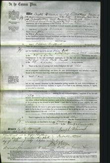 Court of Common Pleas - Alice Driver-Original Ancestry