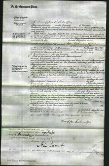 Court of Common Pleas - Elizabeth Dent-Original Ancestry