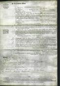 Court of Common Pleas - Ellen Simcock-Original Ancestry