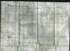 Deed by Married Women - Phoebe Preen-Original Ancestry