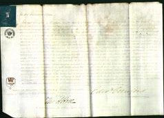 Court of Common Pleas - Mary Speake-Original Ancestry