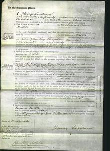 Court of Common Pleas - Emma Buttle-Original Ancestry