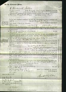 Court of Common Pleas - Elizabeth Lloyd-Original Ancestry