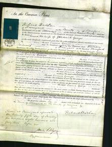 Court of Common Pleas - Emma George-Original Ancestry