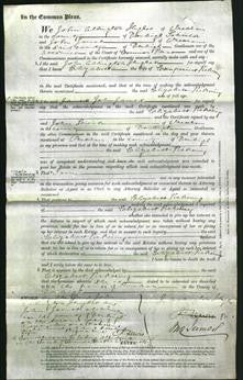 Court of Common Pleas - Elizabeth Pickering-Original Ancestry