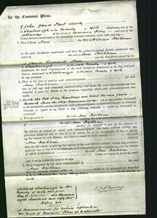 Court of Common Pleas - Ann Barkham-Original Ancestry