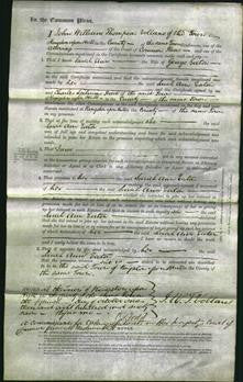 Court of Common Pleas - Sarah Ann Eaton-Original Ancestry