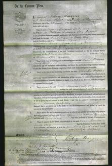 Court of Common Pleas - Mariana Emily Clay-Original Ancestry