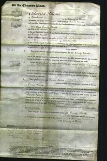 Court of Common Pleas - Emily Buck-Original Ancestry