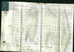 Court of Common Pleas - Elizabeth Taviant-Original Ancestry