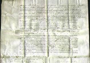 Court of Common Pleas - Mary Gale, Ellen Koper and Mary Anne Long-Original Ancestry