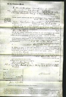 Court of Common Pleas - Henrietta Camp-Original Ancestry