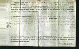 Deed by Married Women - Ann Catherine Frances Tile-Original Ancestry