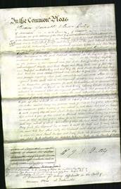 Court of Common Pleas - Sarah Bridger and Mary Guile-Original Ancestry
