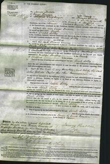 Court of Common Pleas - Sarah Sibley-Original Ancestry