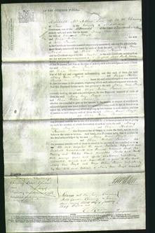 Court of Common Pleas - Mary Ann Lloyd and Eliza Helen Laurie-Original Ancestry