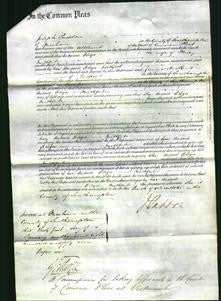 Court of Common Pleas - Elizabeth Faithfull-Original Ancestry