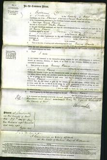 Court of Common Pleas - Fanny Barnes-Original Ancestry