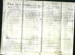 Deed by Married Women - Lucy Ann O'Brian-Original Ancestry
