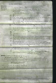 Court of Common Pleas - Mary Nicholls-Original Ancestry