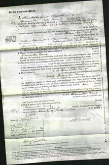 Court of Common Pleas - Henrietta Camp #2-Original Ancestry