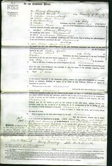 Court of Common Pleas - Susanna Charmings-Original Ancestry