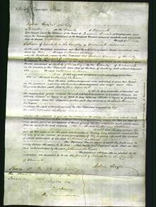 Court of Common Pleas - Catherine Latham-Original Ancestry