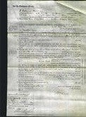 Court of Common Pleas - Ann Oxendale-Original Ancestry