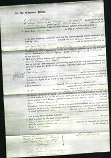 Court of Common Pleas - Anne Maria Marriott-Original Ancestry