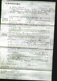 Court of Common Pleas - Elizabeth Hole-Original Ancestry