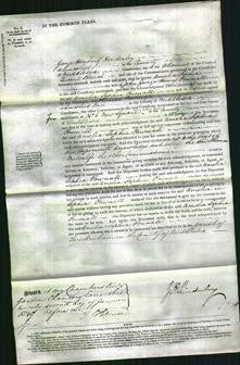 Court of Common Pleas - Amelia Sophia Pownall-Original Ancestry