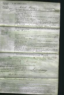 Court of Common Pleas - Maria Clayton-Original Ancestry