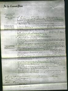 Court of Common Pleas - Agnes Gadsby-Original Ancestry