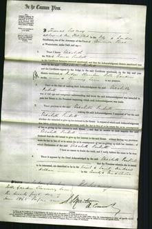 Court of Common Pleas - Elizabeth Pinkett-Original Ancestry