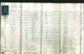 Court of Common Pleas - Sarah Partridge-Original Ancestry