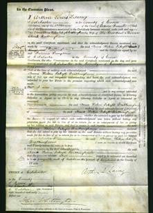 Court of Common Pleas - Anne Helen Jekyll Brethingham-Original Ancestry