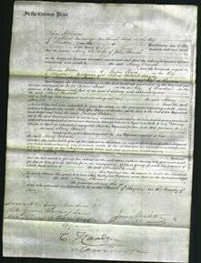 Court of Common Pleas - Mary Parrish-Original Ancestry