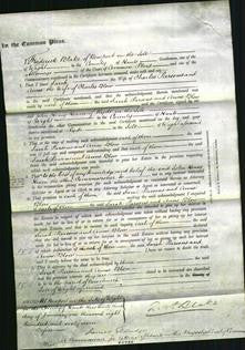 Court of Common Pleas - Sarah Parsons and Anne Blow-Original Ancestry