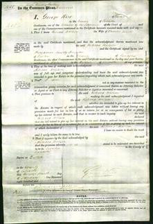 Court of Common Pleas - Rebecca Willson Smith-Original Ancestry