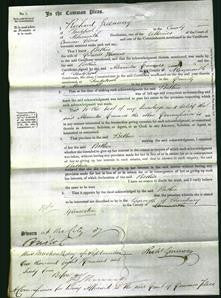 Court of Common Pleas - Bethia Thomas-Original Ancestry