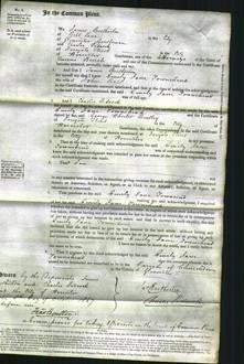 Court of Common Pleas - Emily Jane Townshend Bell-Original Ancestry