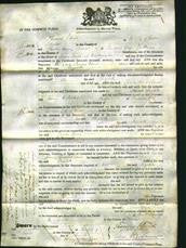 Court of Common Pleas - Elizabeth Fricole-Original Ancestry