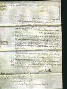 Court of Common Pleas - Susannah Stone-Original Ancestry