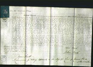 Court of Common Pleas - Mary Pocock-Original Ancestry