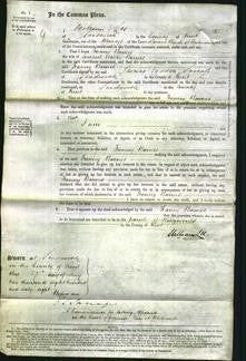 Court of Common Pleas - Fanny Barnes-Original Ancestry