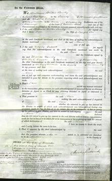 Court of Common Pleas - Ann Cox-Original Ancestry